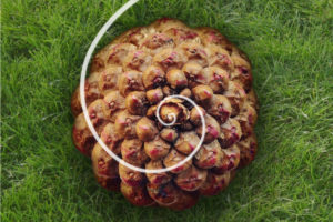 Golden Spiral Nature