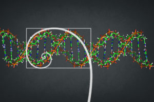 Golden Spiral DNA