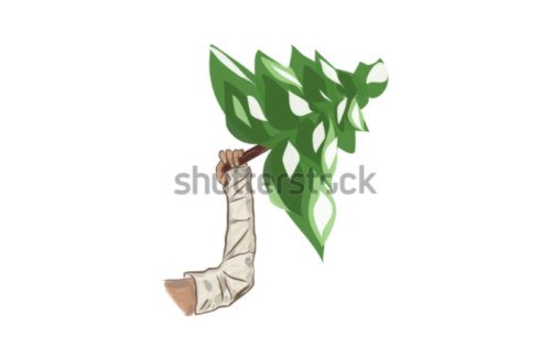 Shutterstock illustration broken arm in cast with spruce tree
